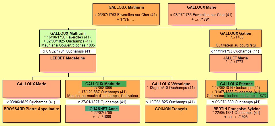 arbre Mathurin Galloux